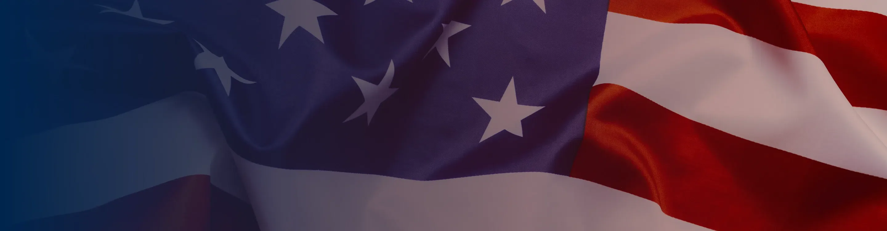 The American Flag